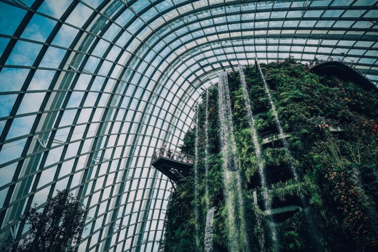 The incredible indoor waterfall of the Singapore's Cloud Forest