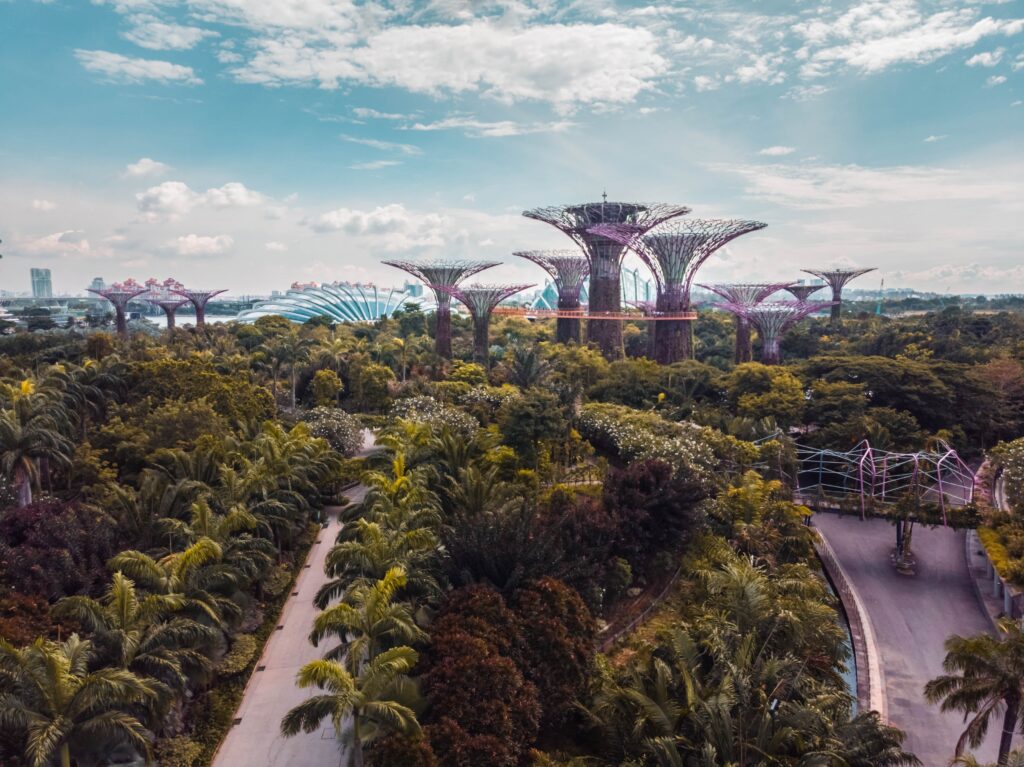 Landscape shot of Supertree Groves from afar