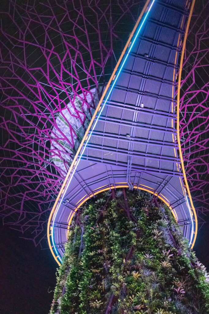 Supertreen Constructure The Secret Story Behind Singapore's Supertree Groves