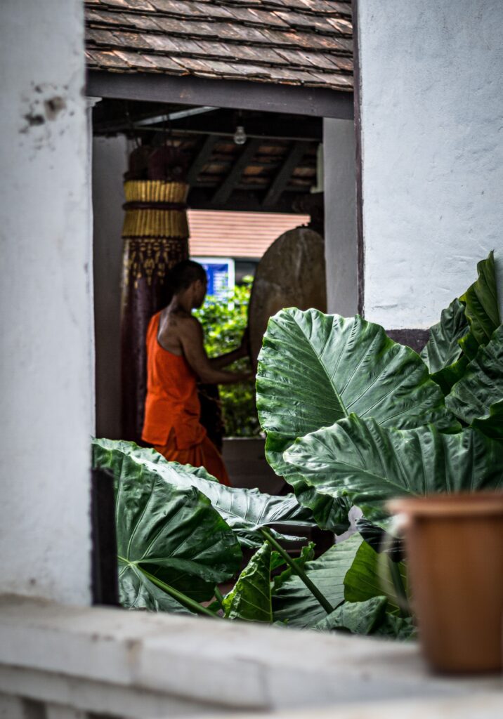 A monk in Luang Prabang