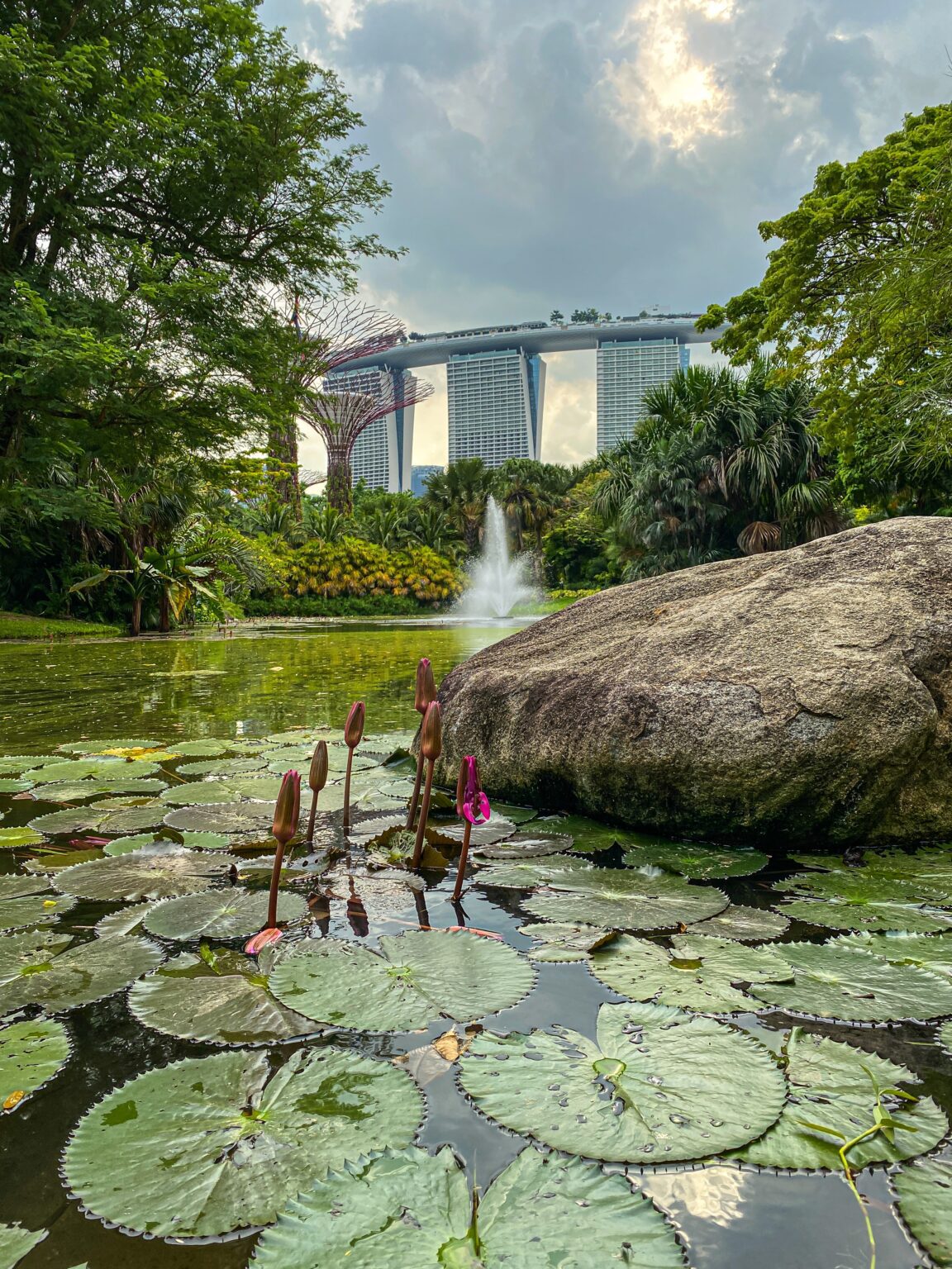 Marina Bay Sands taken from a pond at Supertree Groves. Singapore City