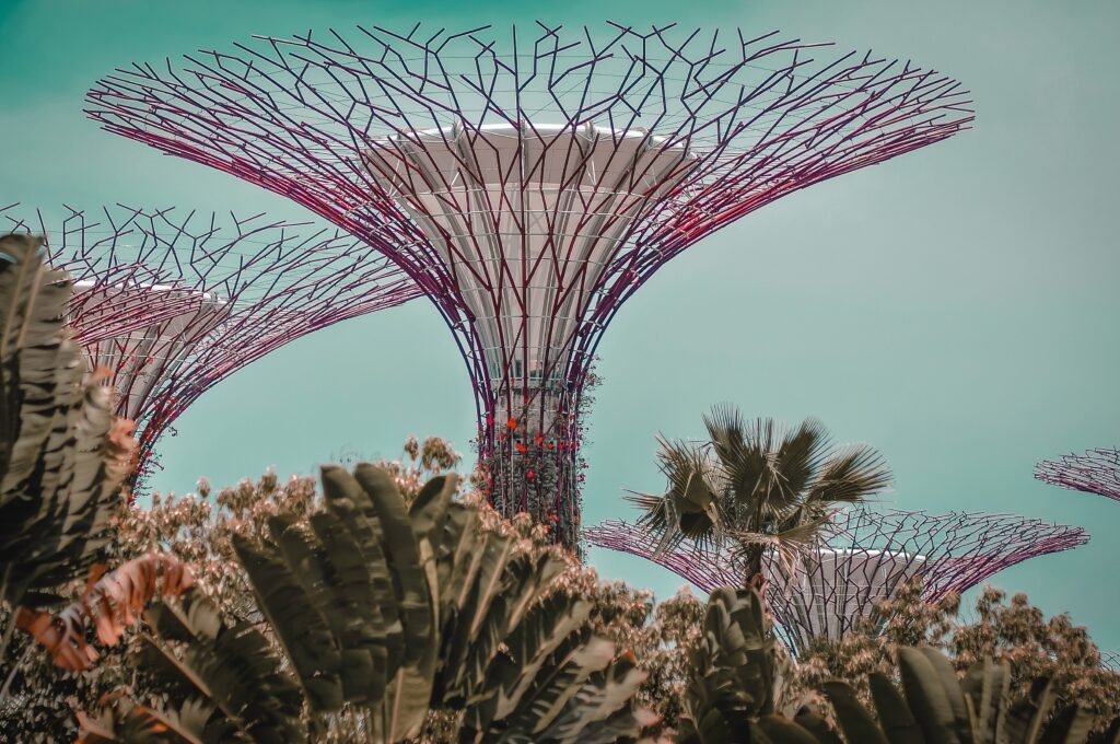 Supertree groves in Singapore