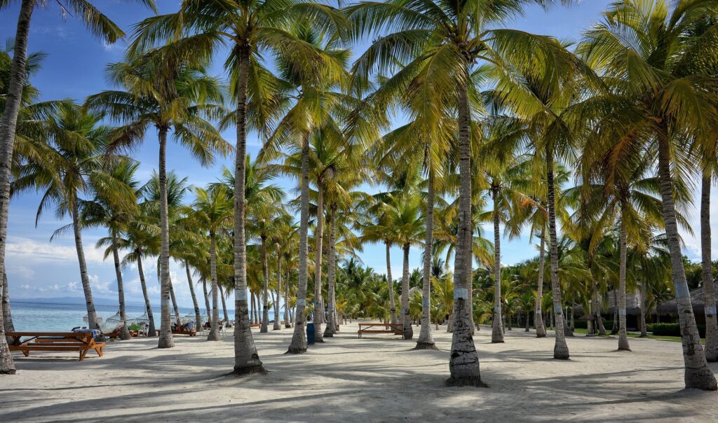 Bohol best beaches