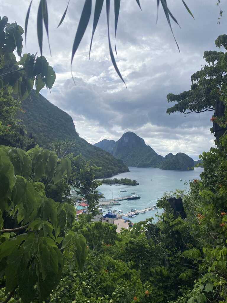 Canopy Walk View in El Nido