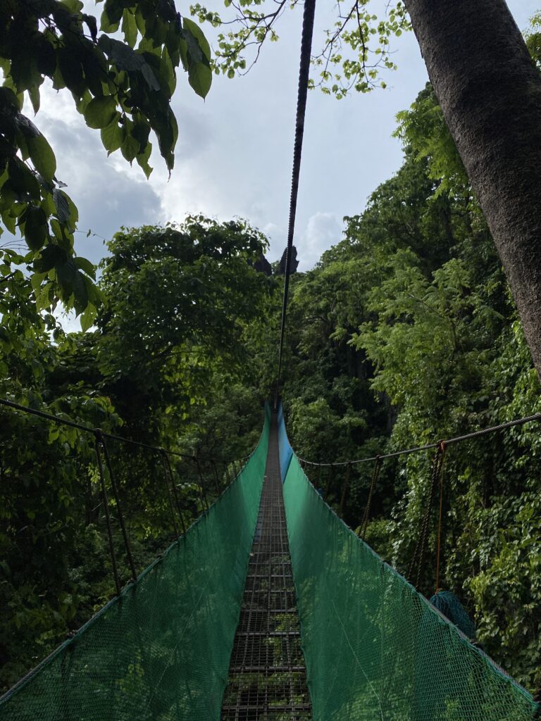 El Nido Canopy Walk Suspension Bridge