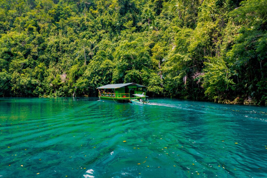 Lomboc River cruise in Bohol
