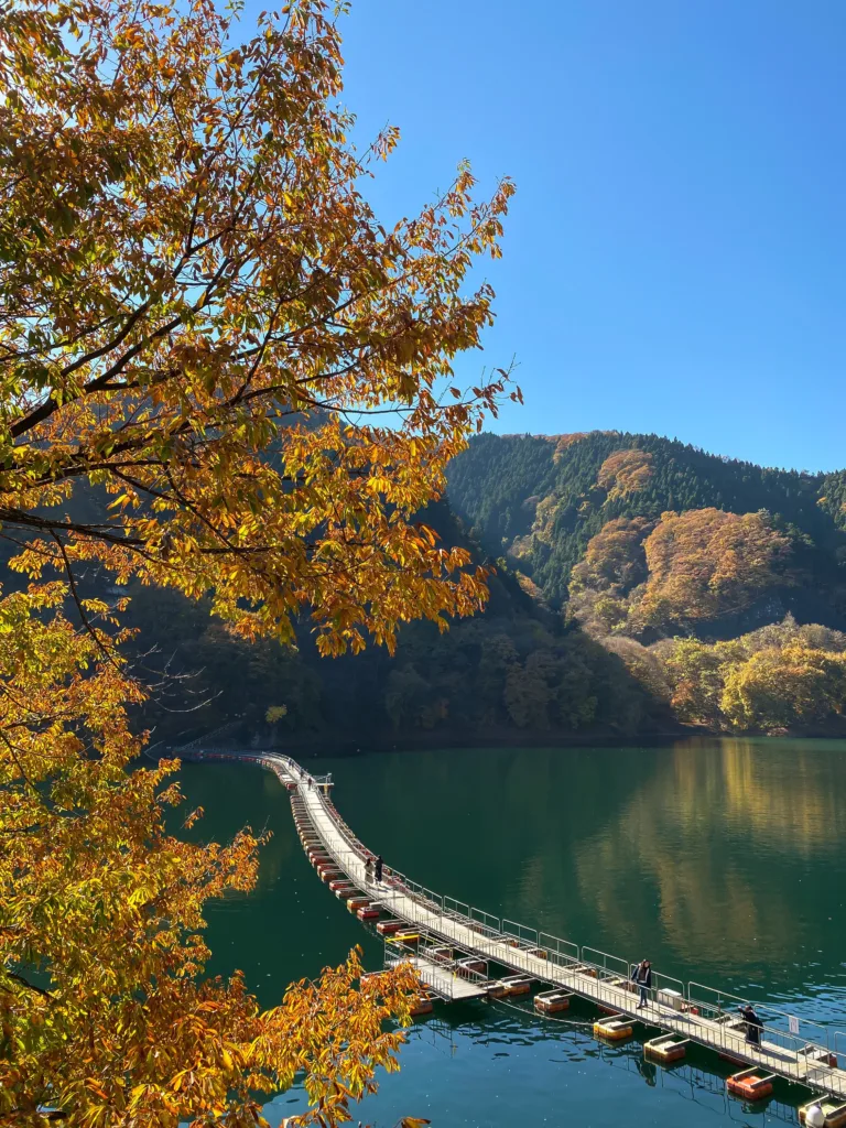 Autumn in Okutama, Japan