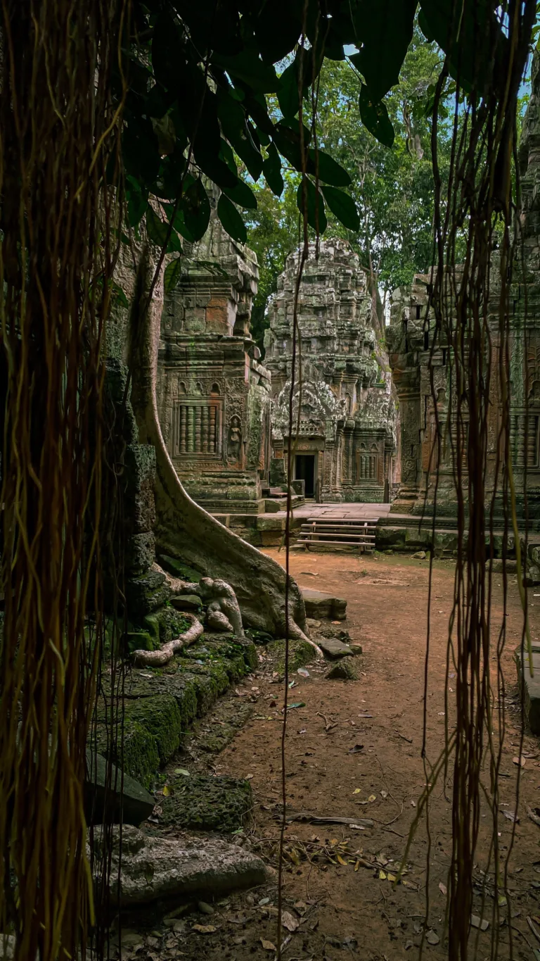 Ta Prohm in Angkor Park. Siem Reap, Cambodia