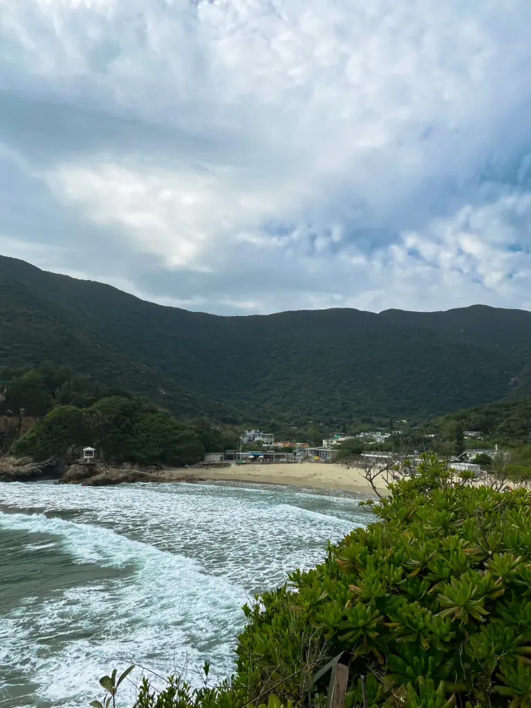 Big Wave Beach View