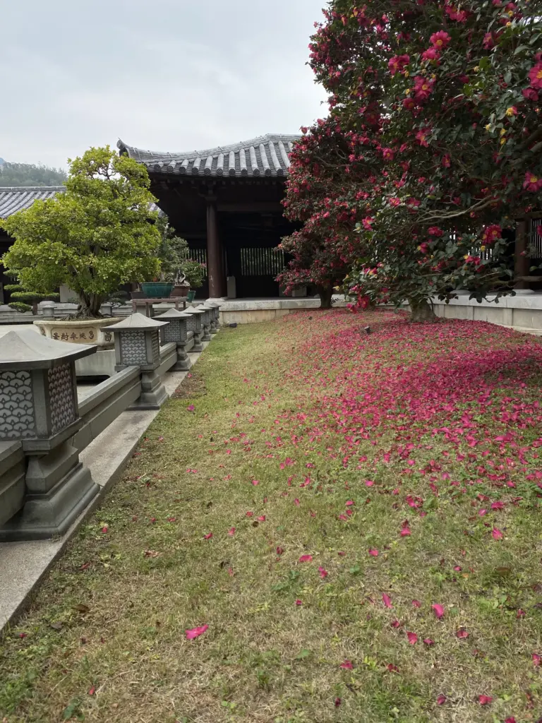 Chi Lin Nunnery flowers