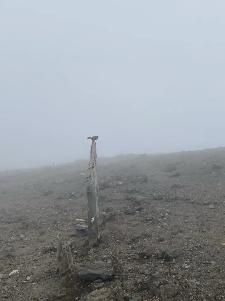 Mt. Asahidake Summit