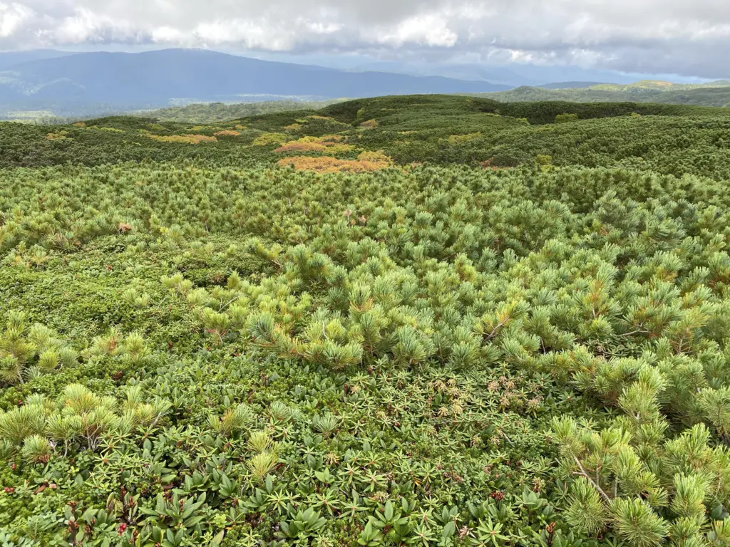 Mt. Asahidake Summer Hike