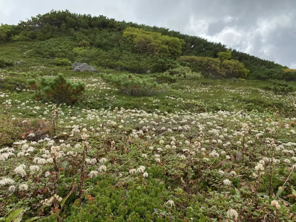 Mt. Asahidake Hike