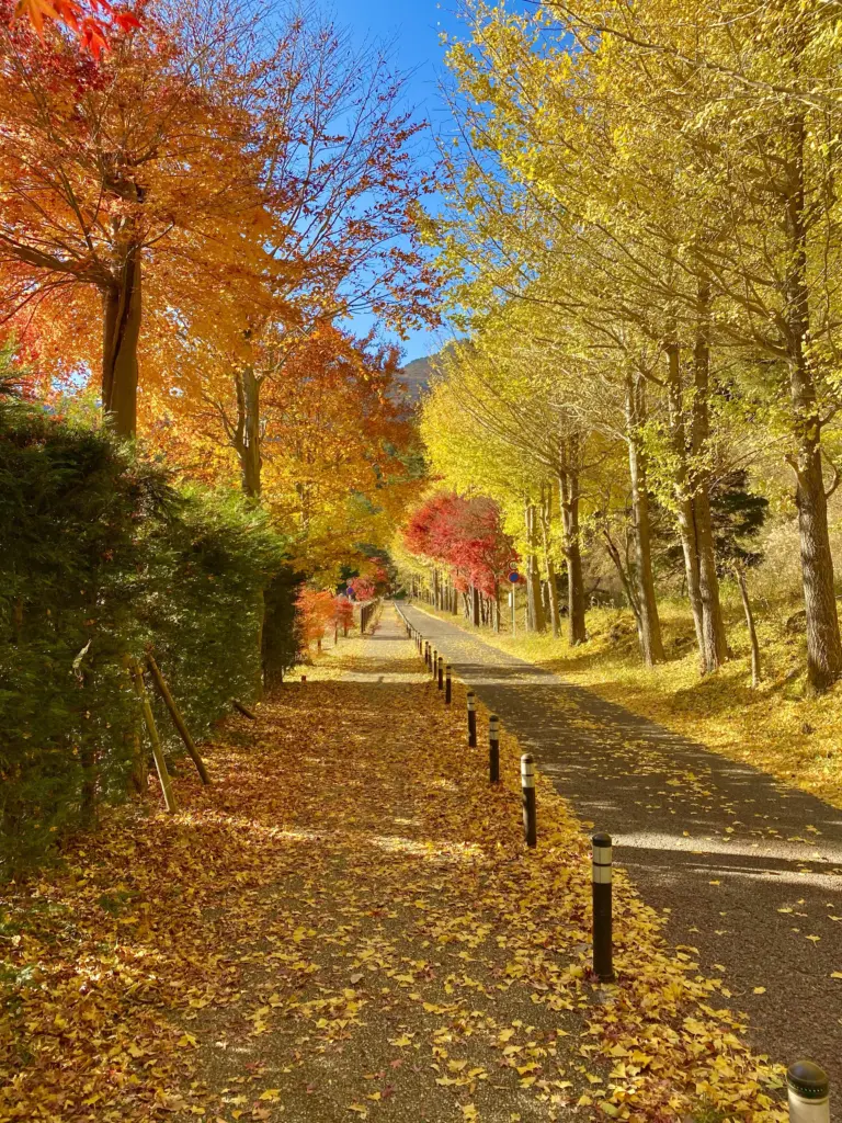 Kawaguchiko Best Time to Visit