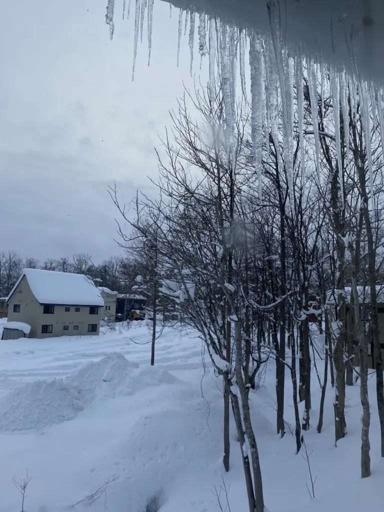 Niseko Japow