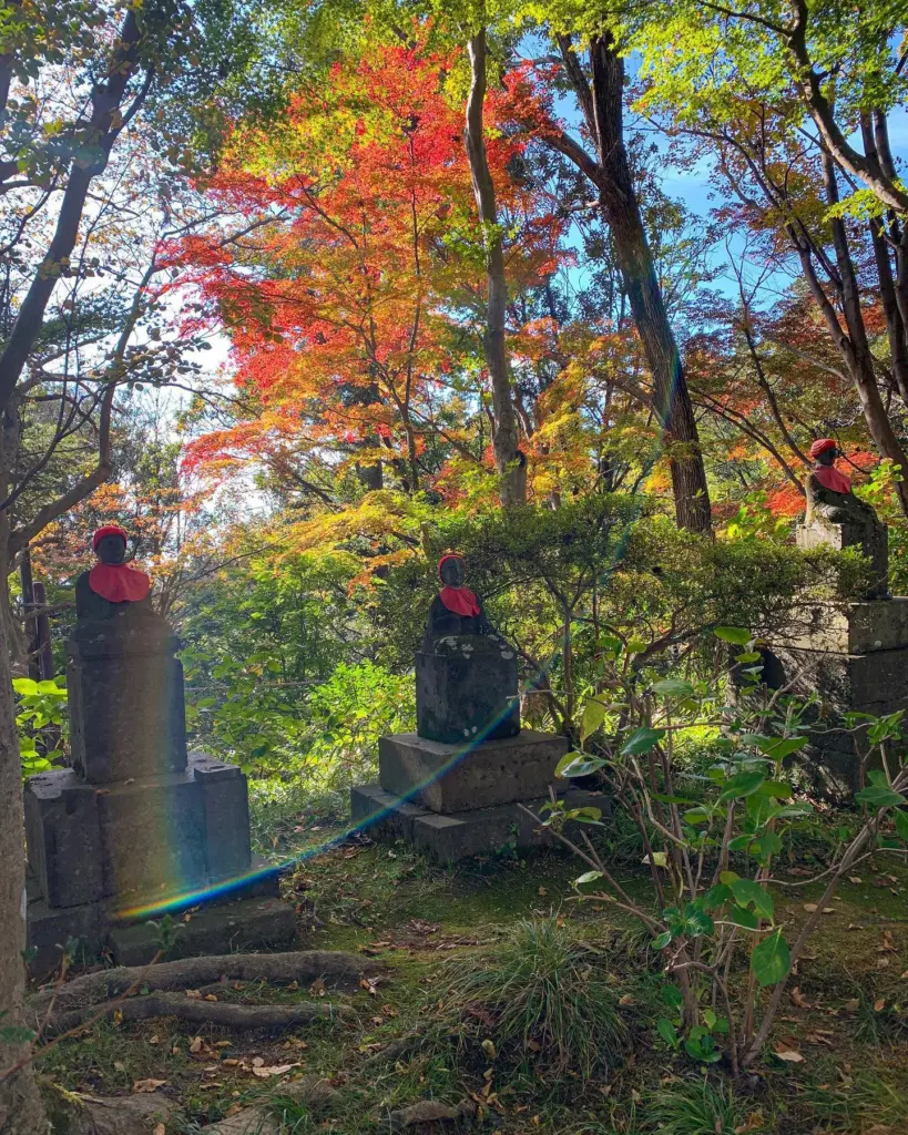 Mt. Kobotoke-Shiroyama