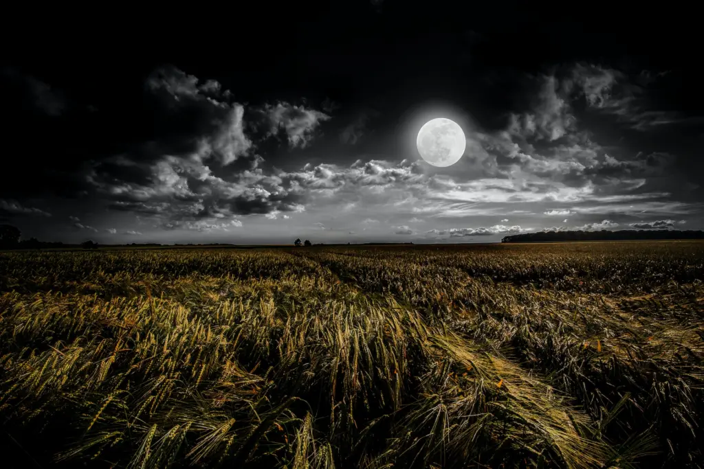 Moon Yin Energy