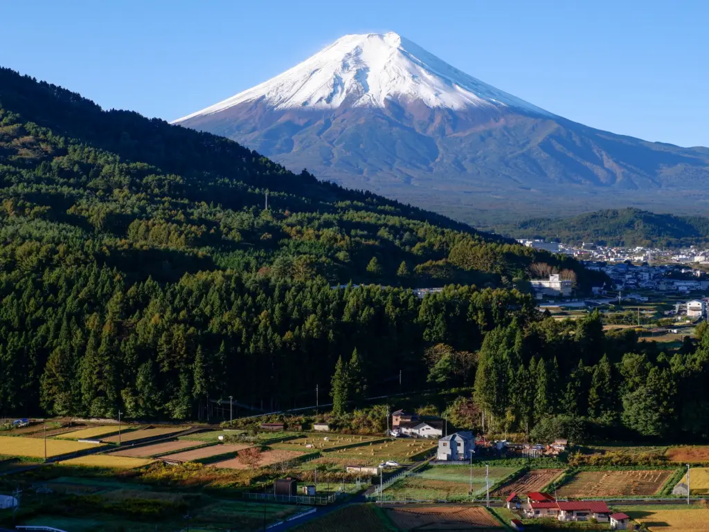 Mt. Fuji Hiking Guide