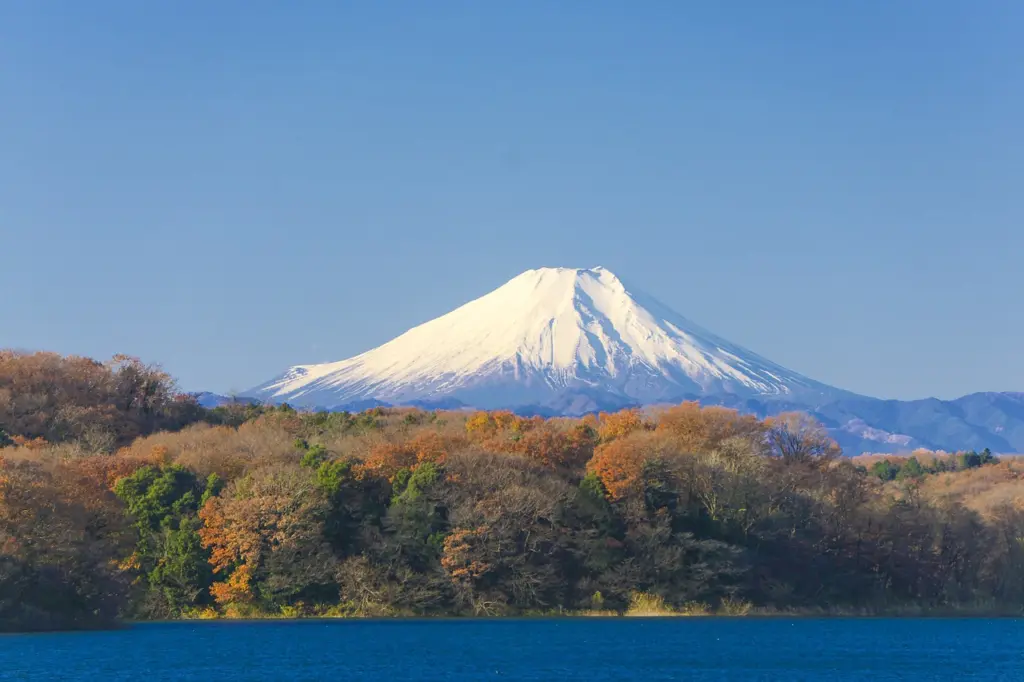 Sayama Lake and Mount Fuji