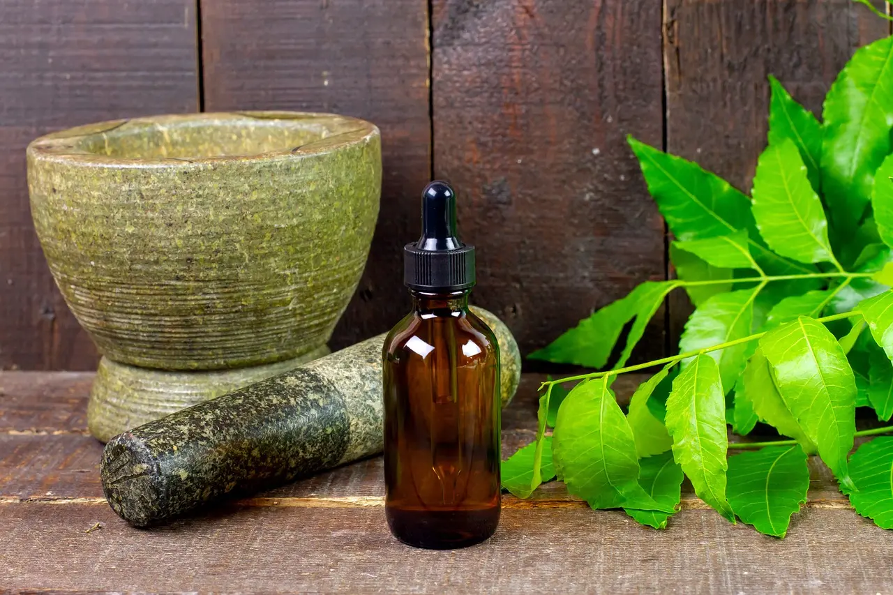 Ayurveda and TCM, what is the Difference?
