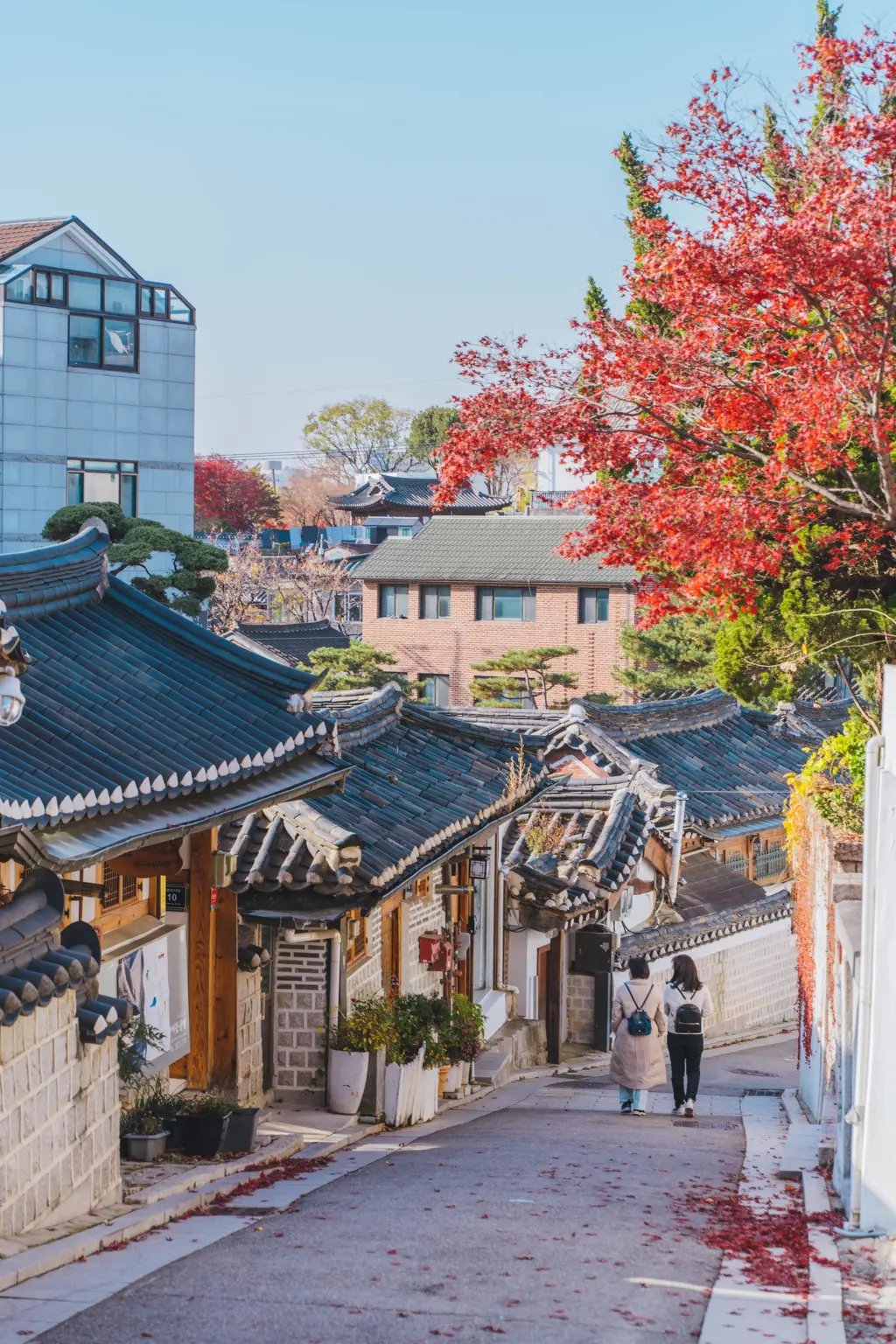 Best Time to Visit Bukchon Hanok Village
