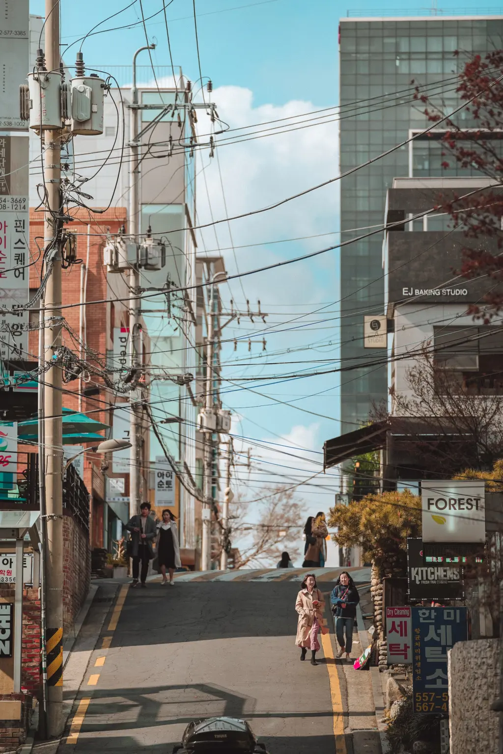 Best Time to Visit Seoul