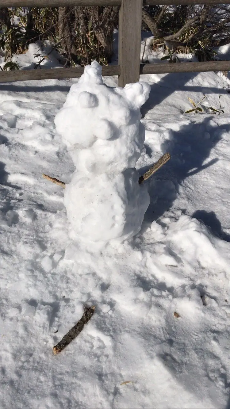 Snowman on Mt. Hallasan