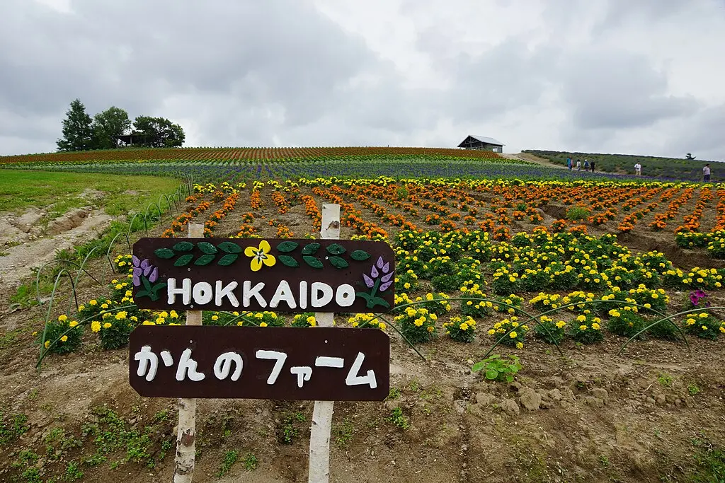 Kanno Farm