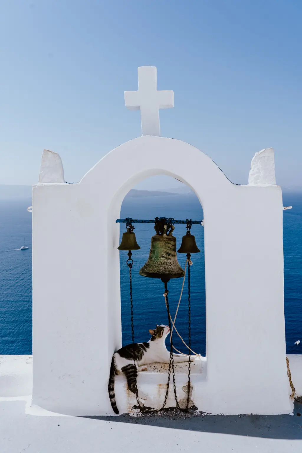 Cat in Santorini
