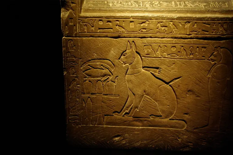 Cat in Hieroglyph