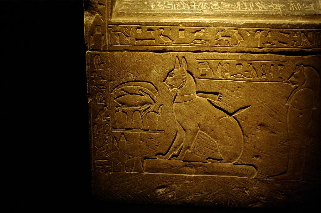 Cat in Hieroglyph