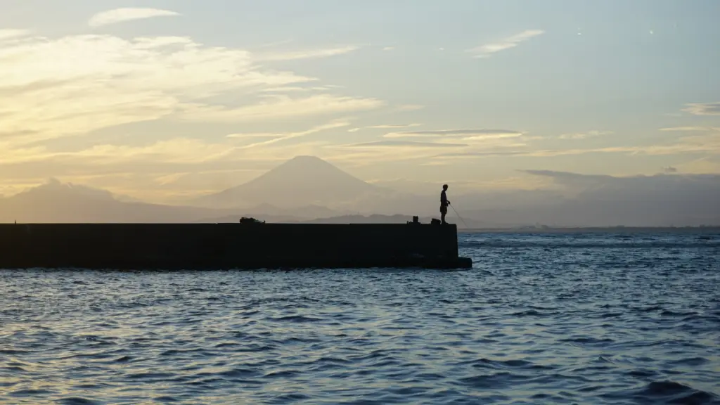 Enoshima Fuji View