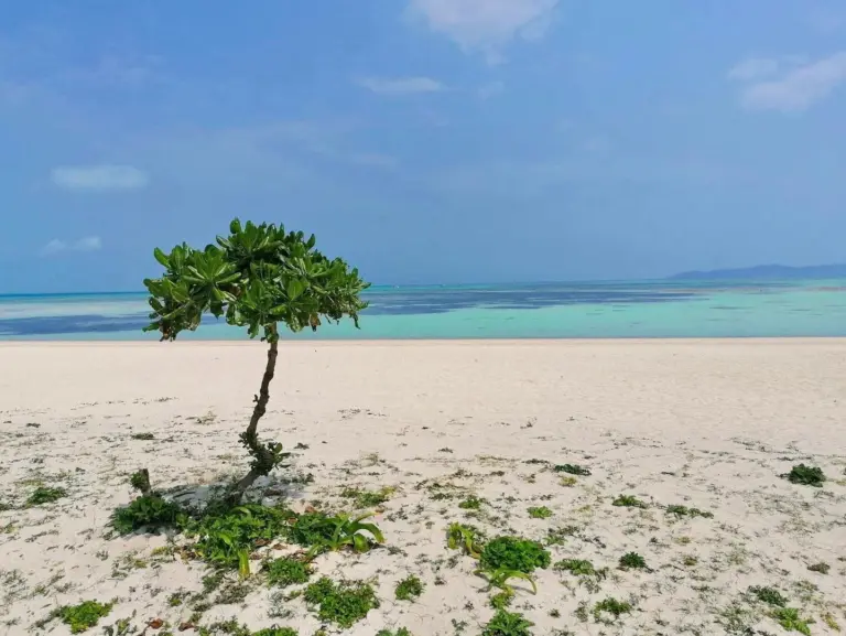 Things to Do in Naha, Okinawa