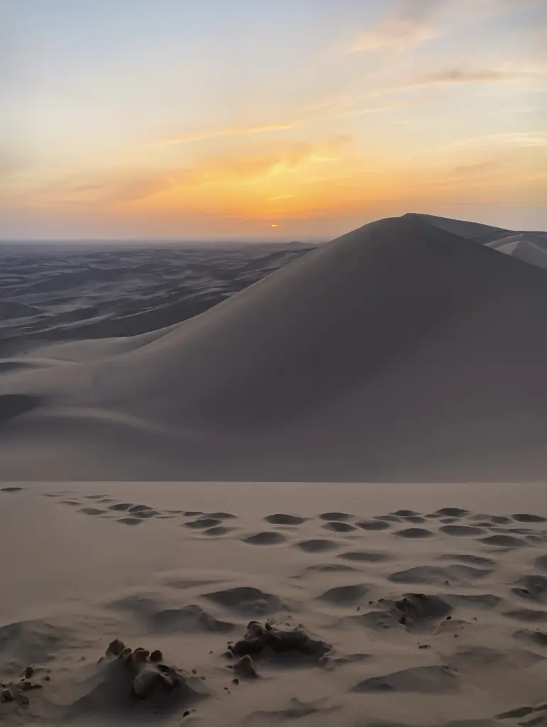 Khongoryn Els Portrait, Gobi Desert