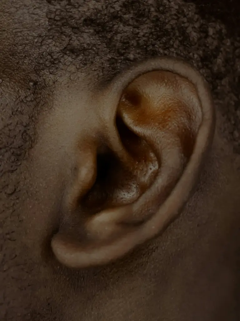 Ear Consciousness