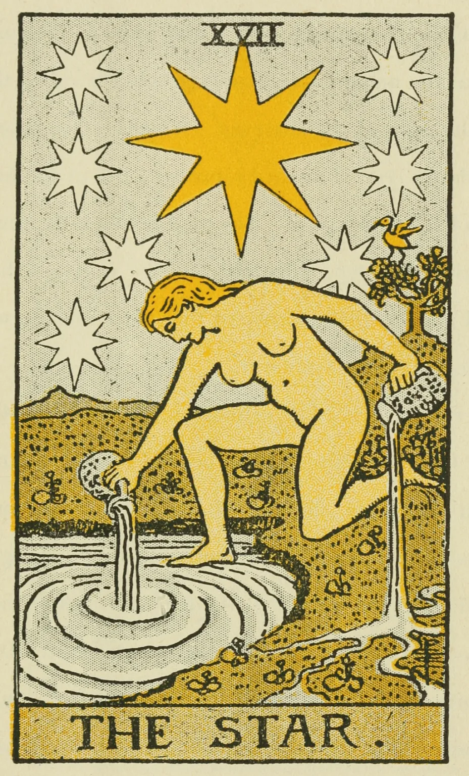 XVII - The Star