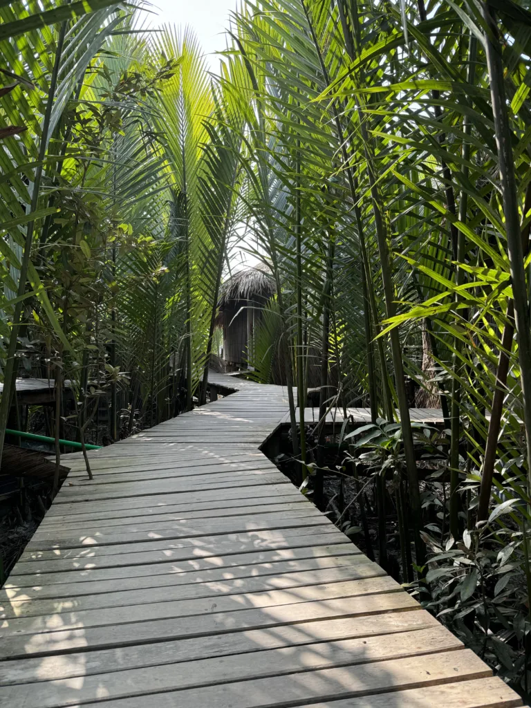 Sundarbans Where to Stay