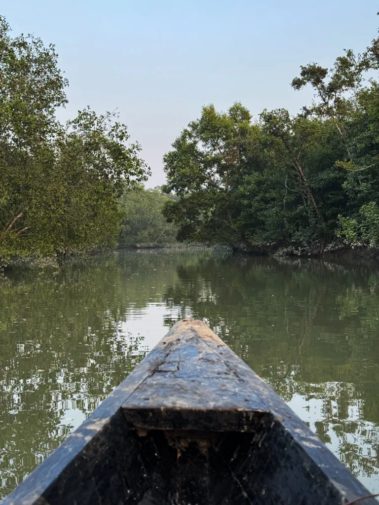 Sundarbans Boat