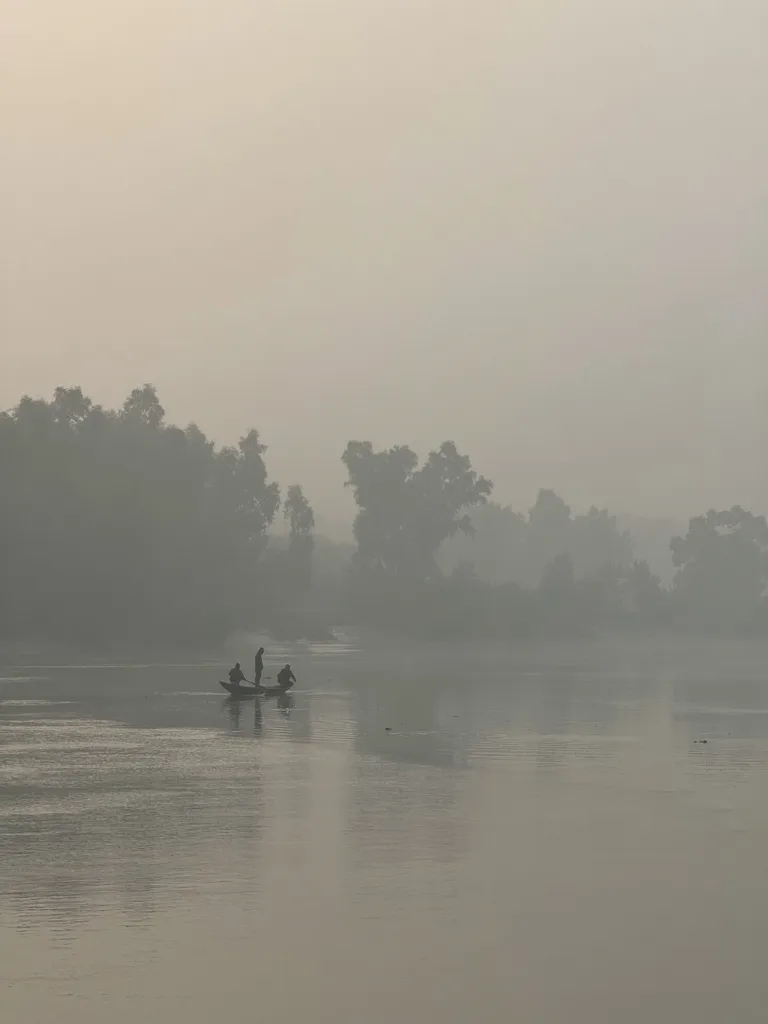 Misty Sundarbans