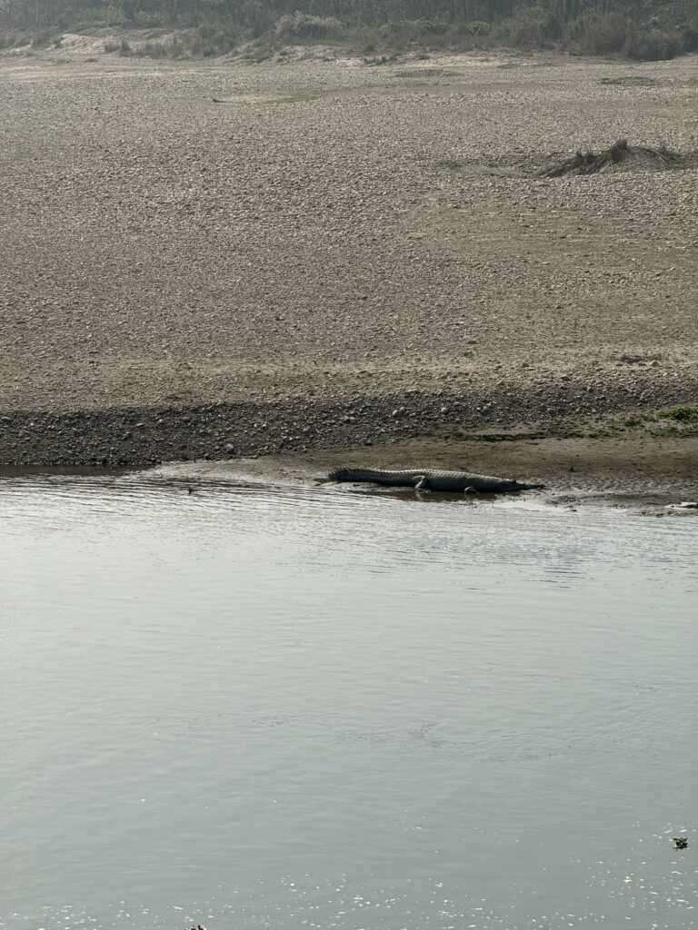 Chitwan National Park