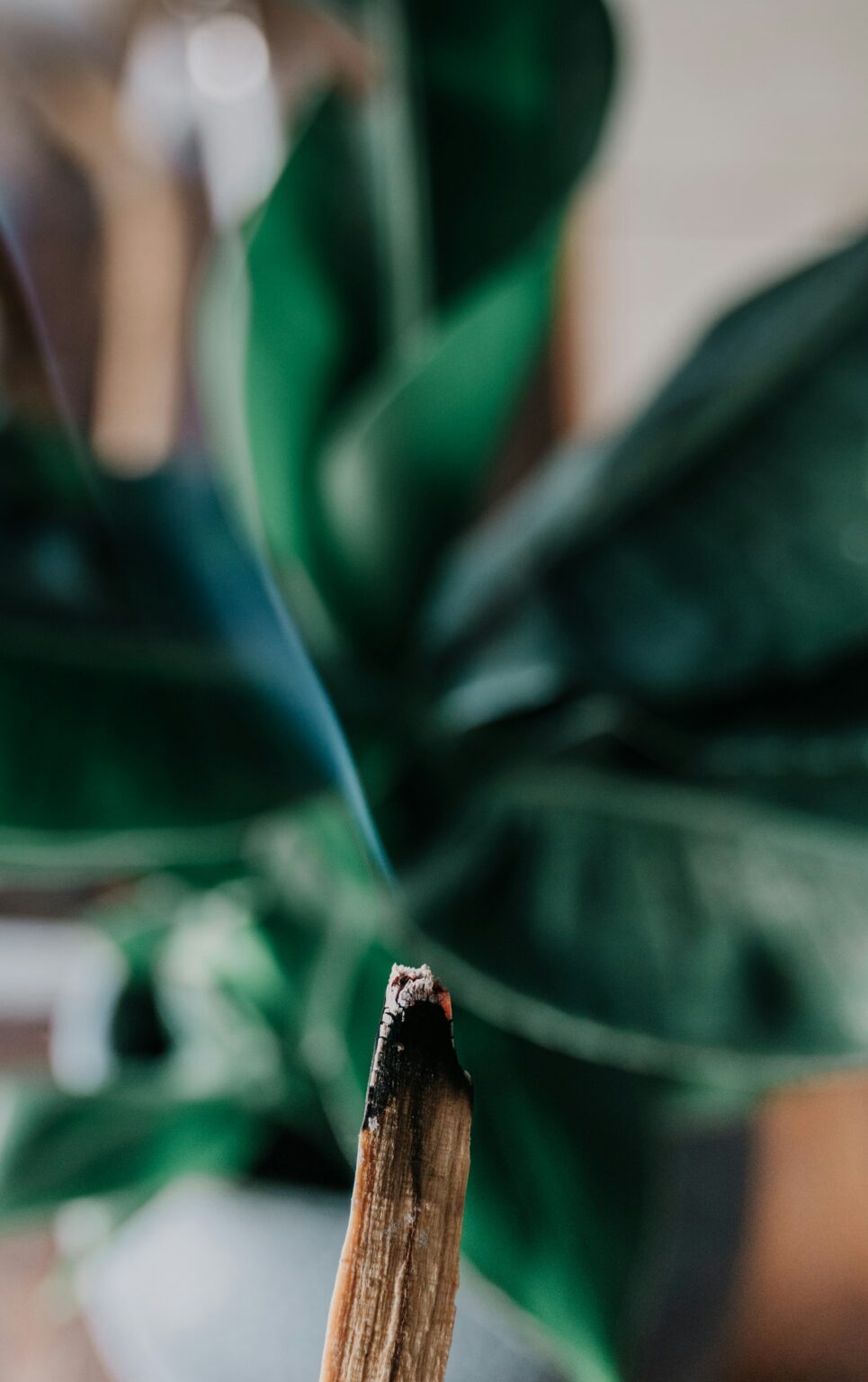 Palo Santo Smudging