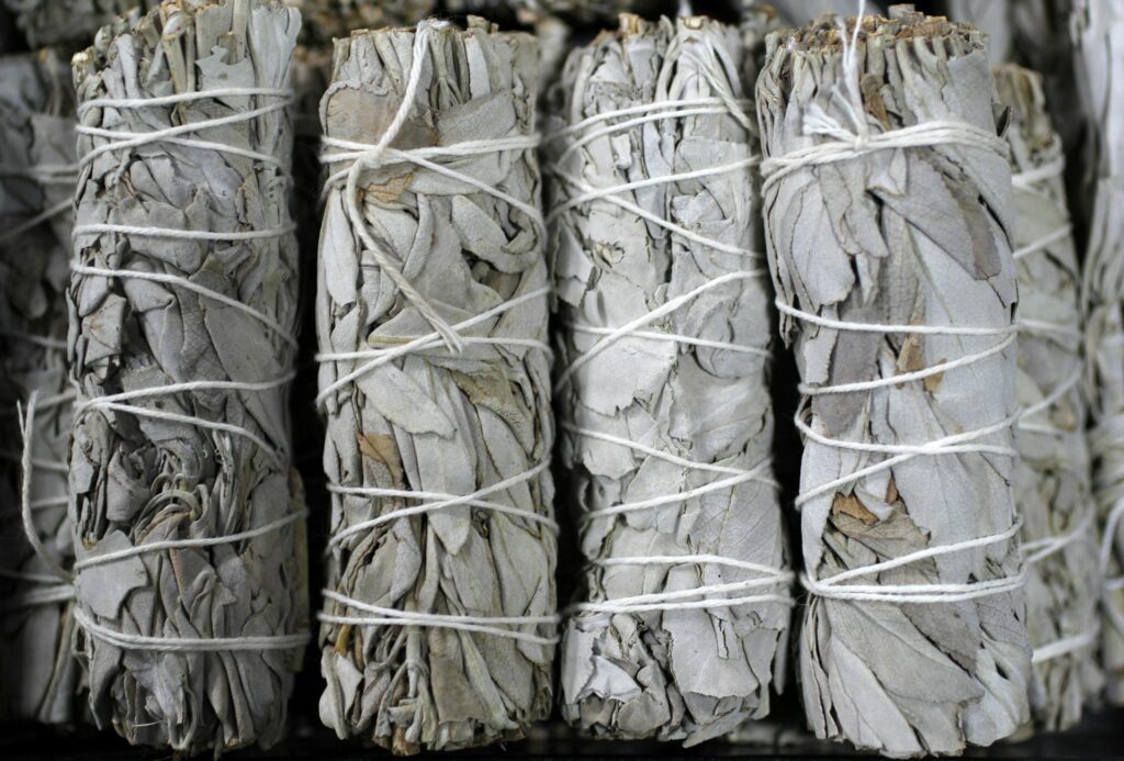 Sage Harvesting
