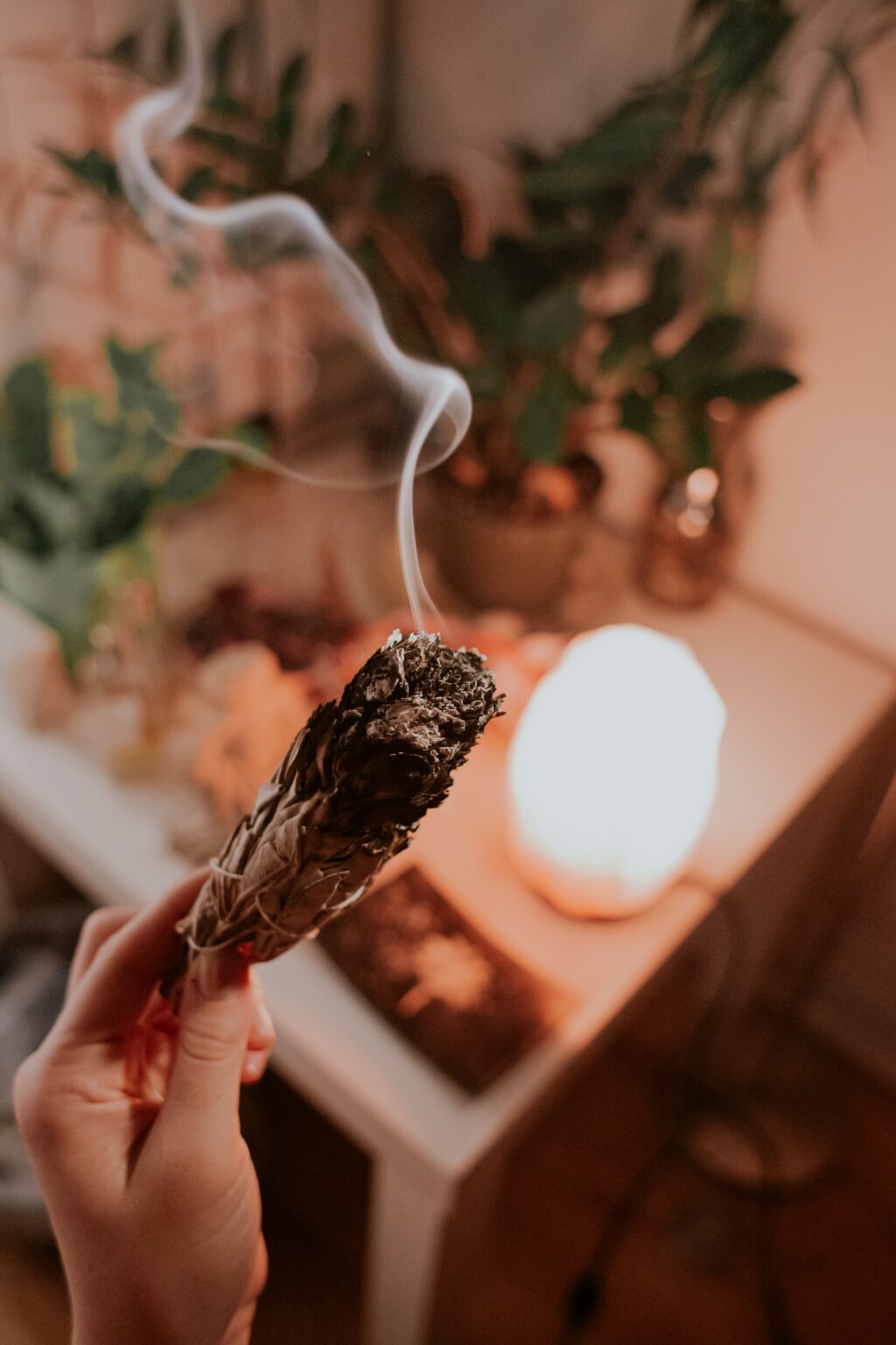 Sage How to Use