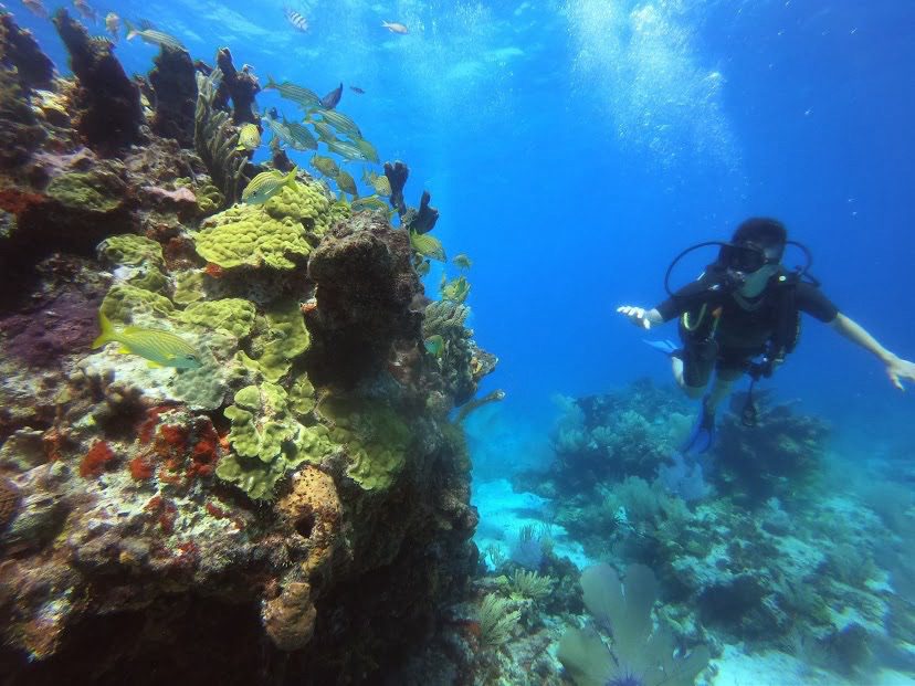 Cancun Things to Do