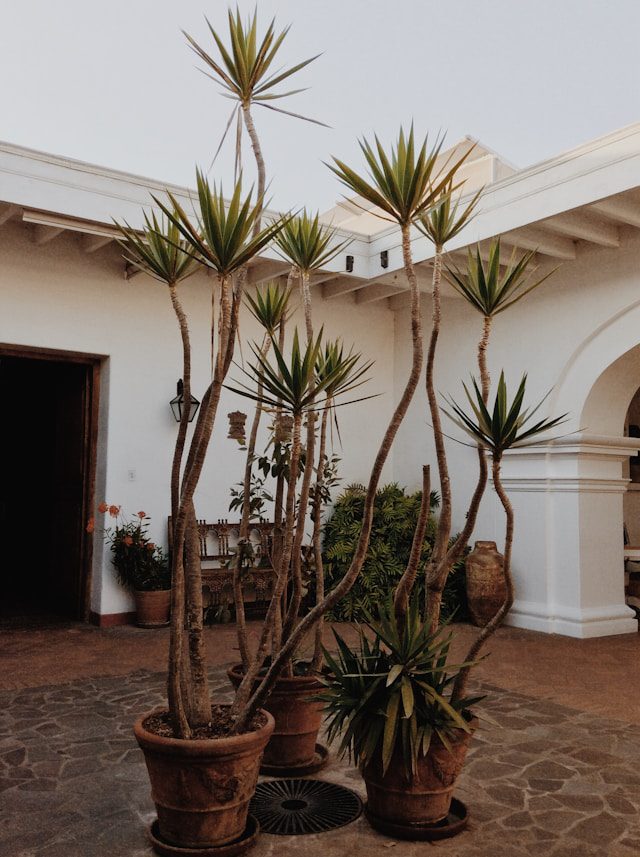 Larco Museum