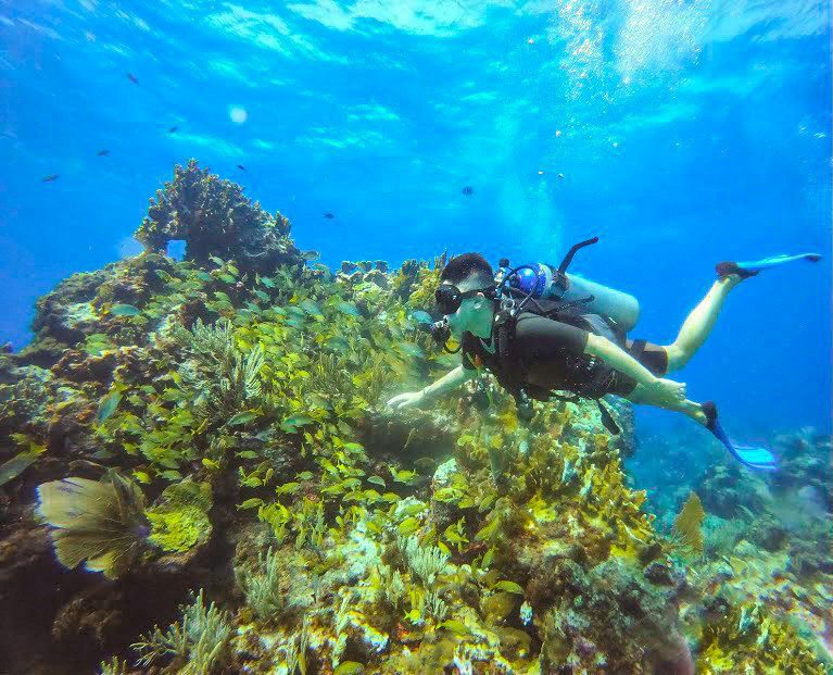 Museum of Underwater Art Cancun