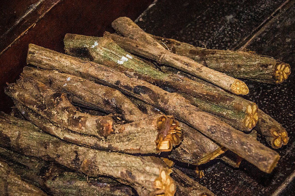 Ayahuasca