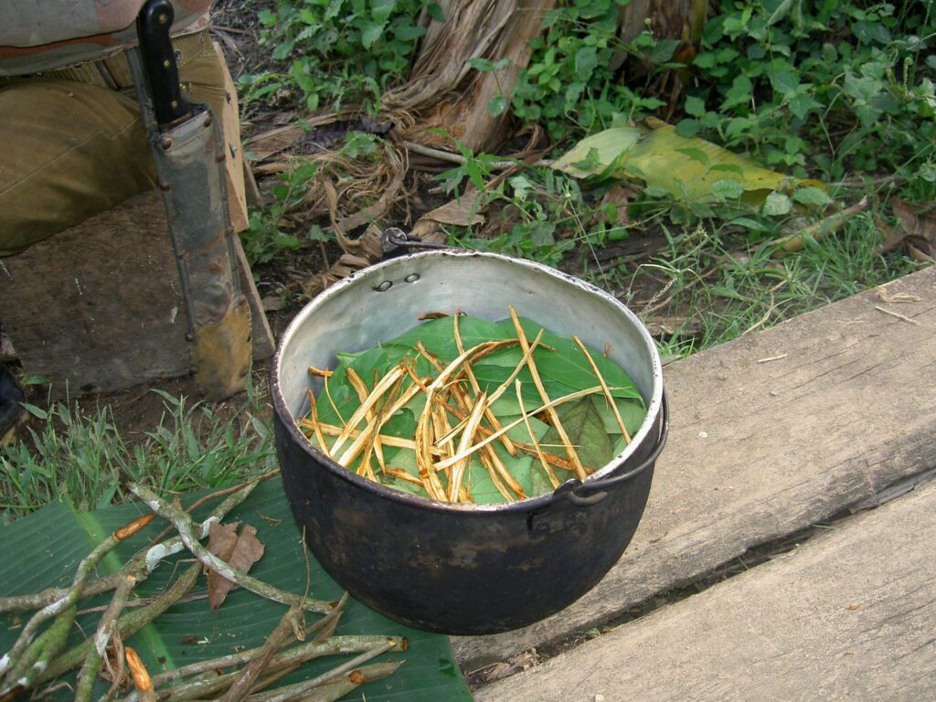 Ayahuasca vs San Pedro