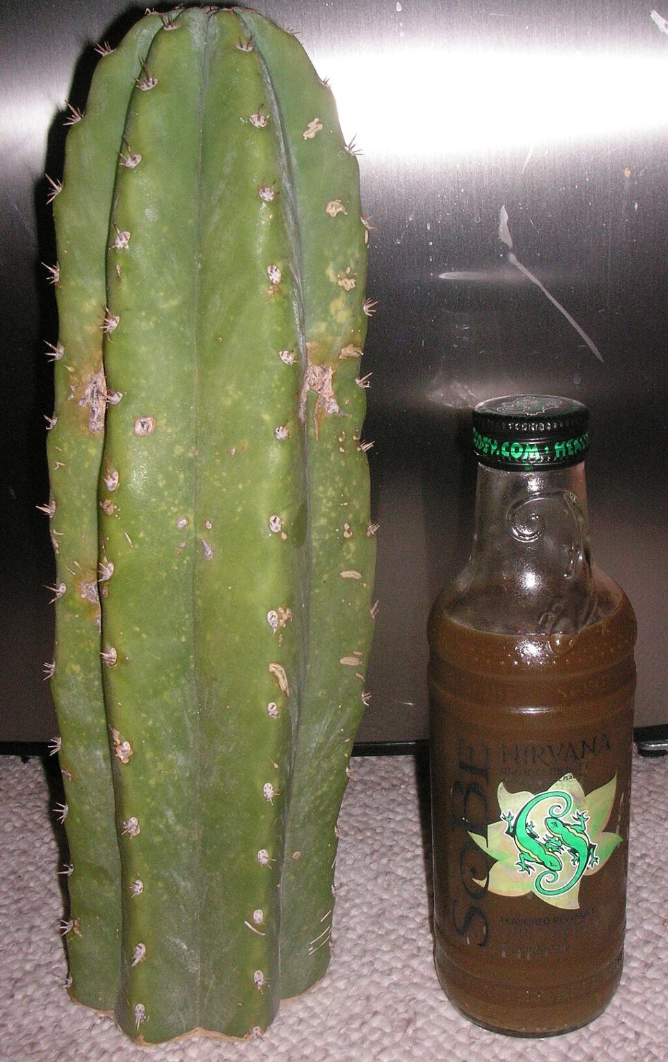 Huachuma Mescaline