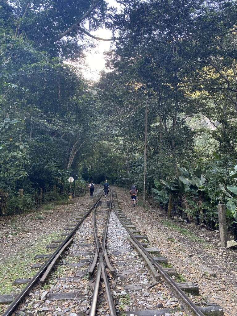 Aguas Calientes Train Tracks